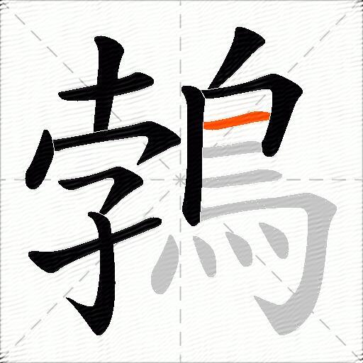 鵓