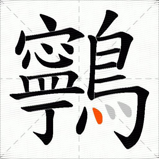 鸋