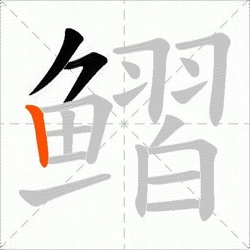 鳛