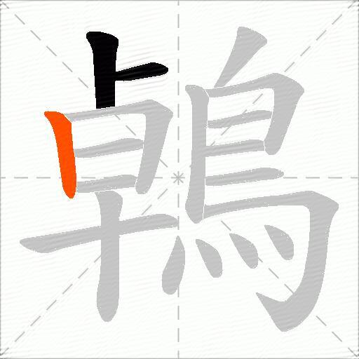 鵫