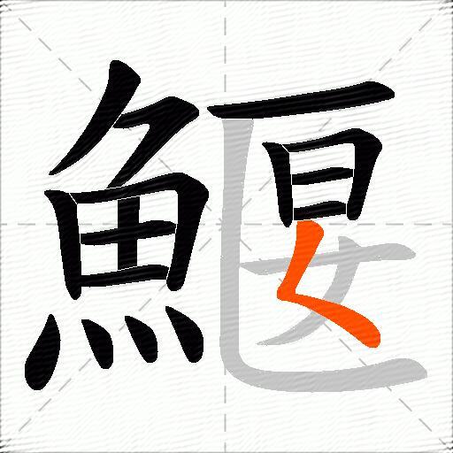 鰋