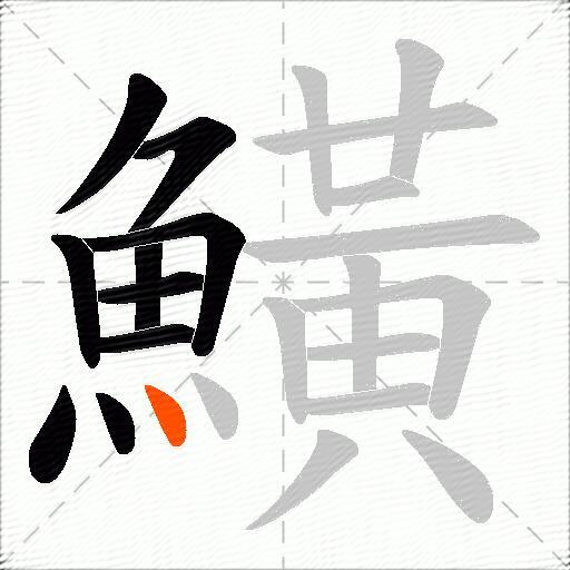 鱑