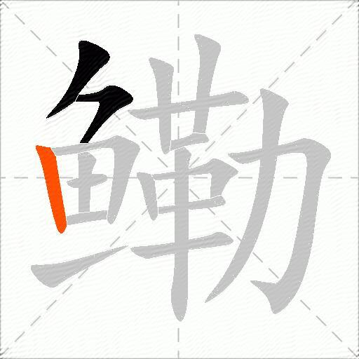 鳓