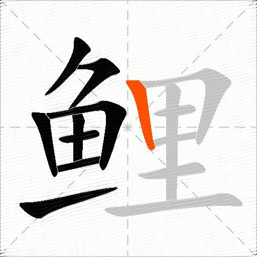 鲤