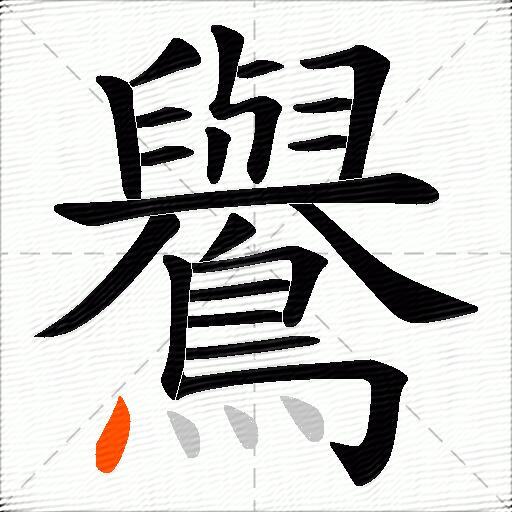 鸒