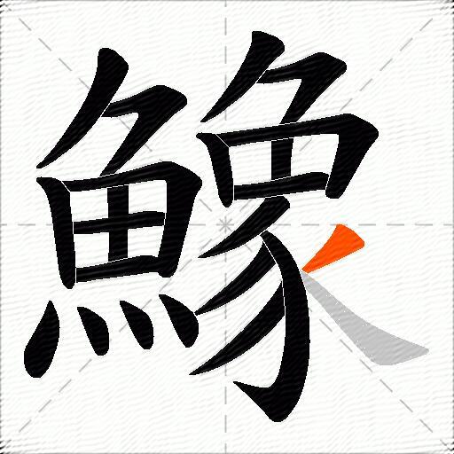 鱌
