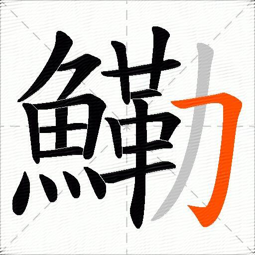鰳