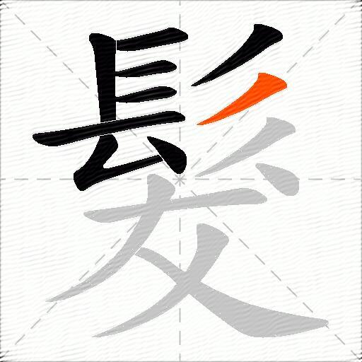 髮