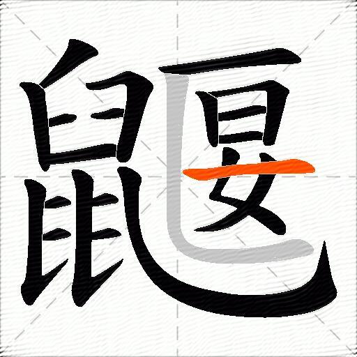 鼴