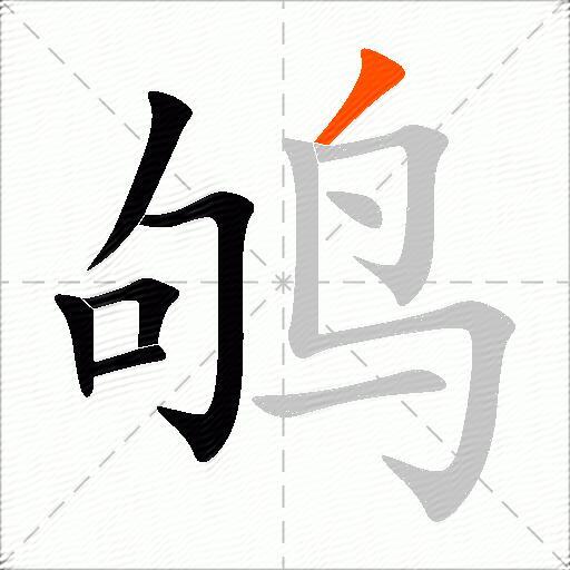 鸲