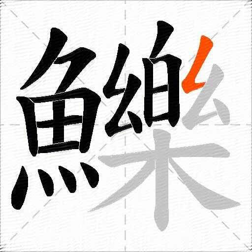 鱳