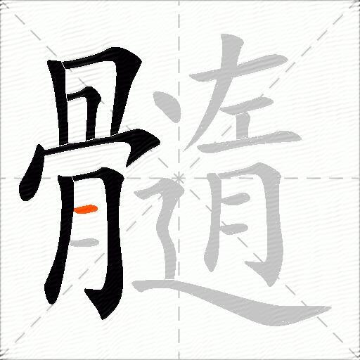 髓