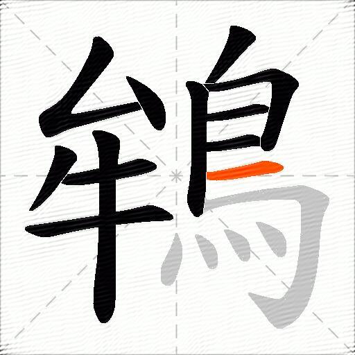鴾