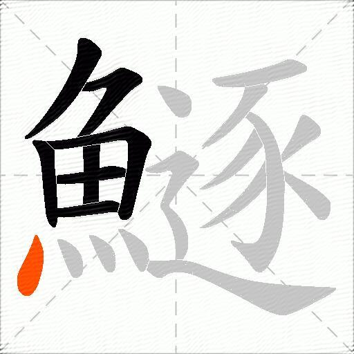 鱁