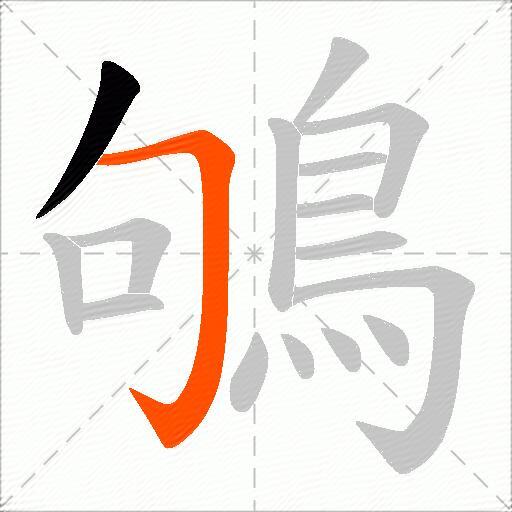 鴝