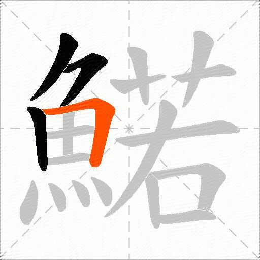 鰙