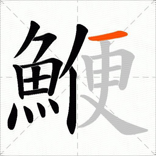 鯾
