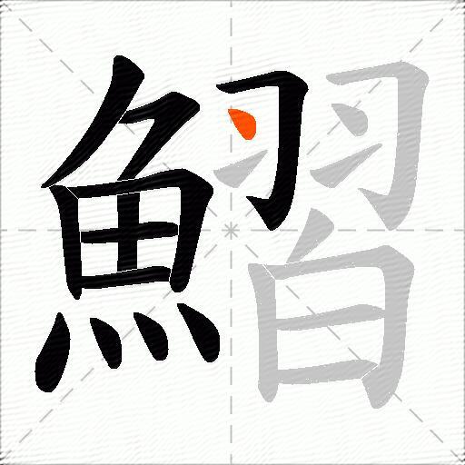鰼