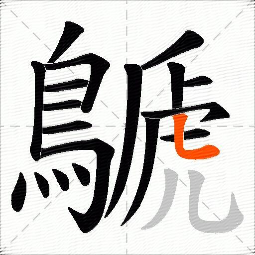 鷈