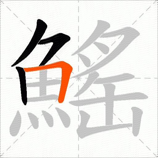 鰩