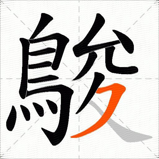 鵔