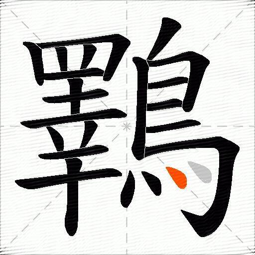 鸅