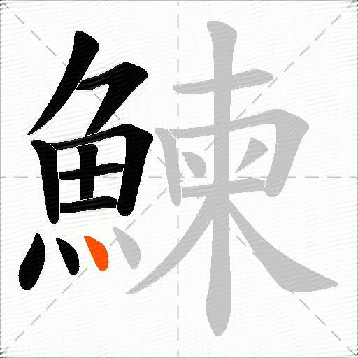 鰊