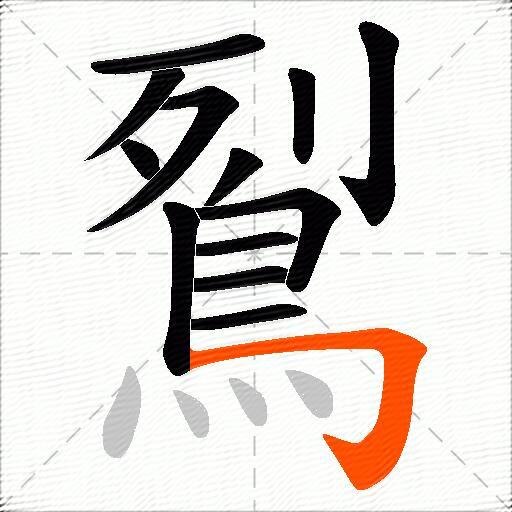 鴷
