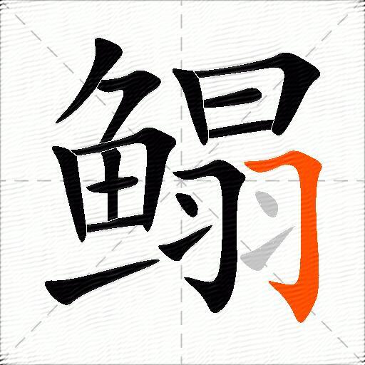 鳎