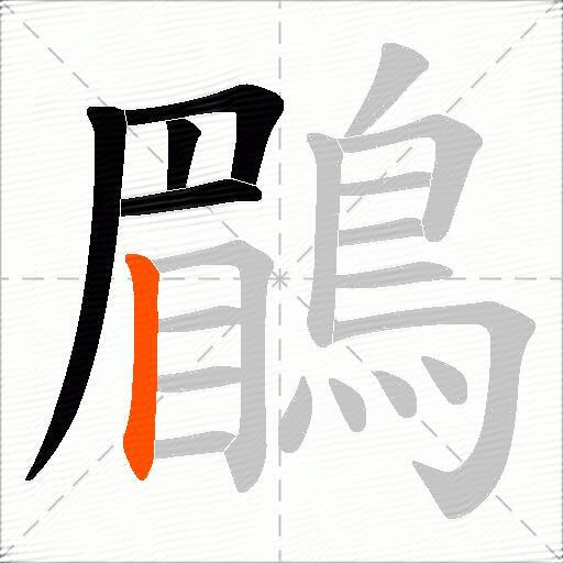 鶥