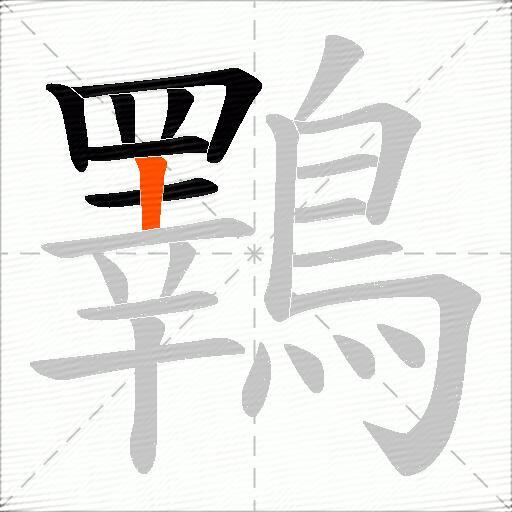 鸅