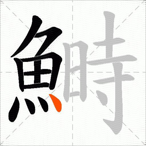 鰣