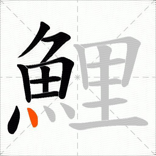 鯉