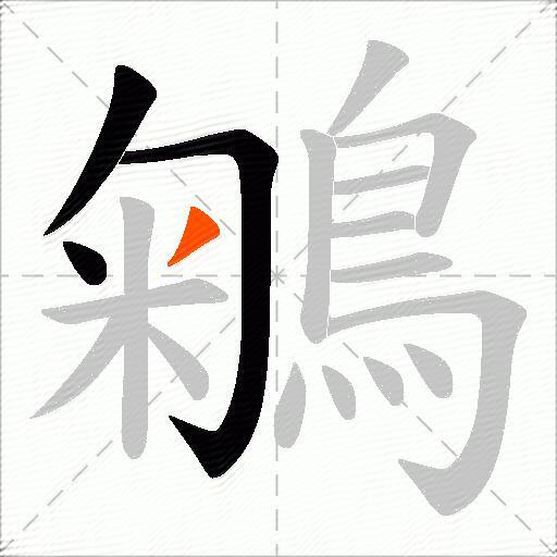 鵴