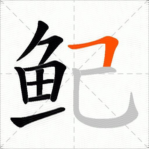 鱾