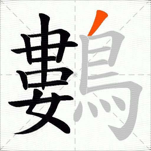 鷜