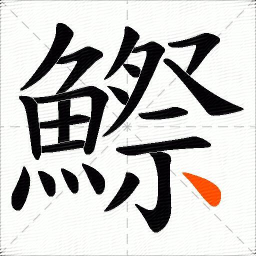 鰶