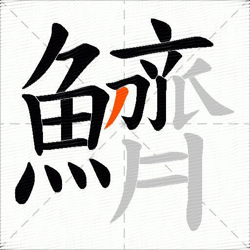 鱭