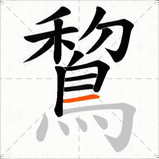 鵹