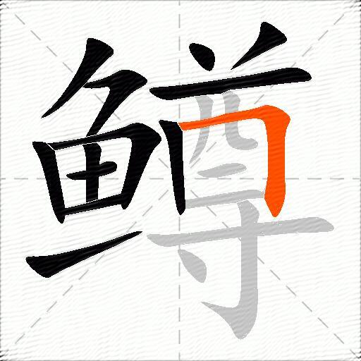 鳟