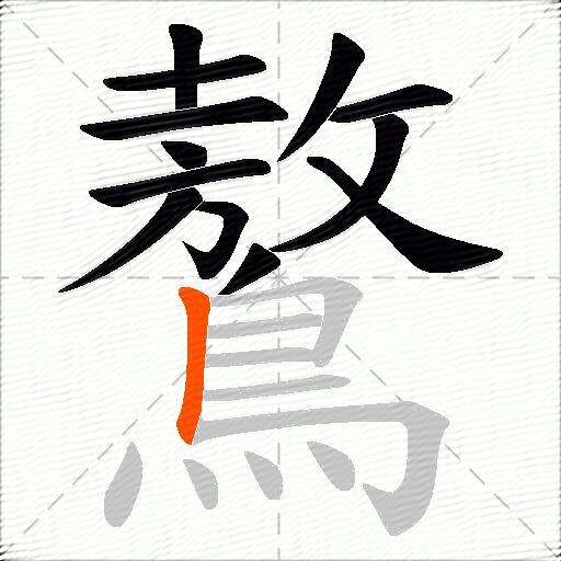 鷔
