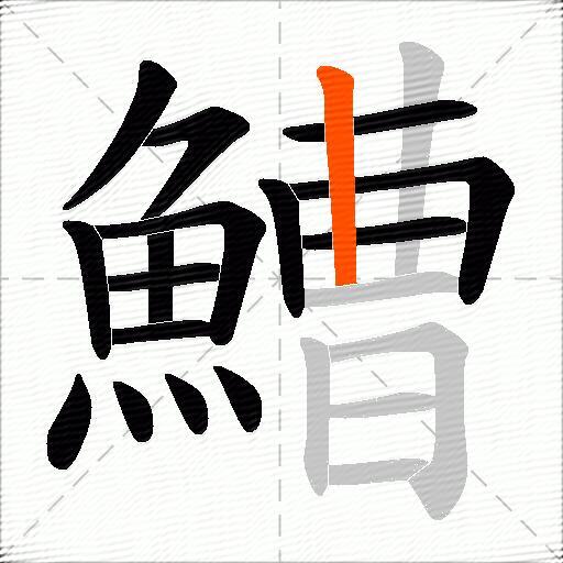 鰽