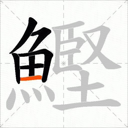 鰹