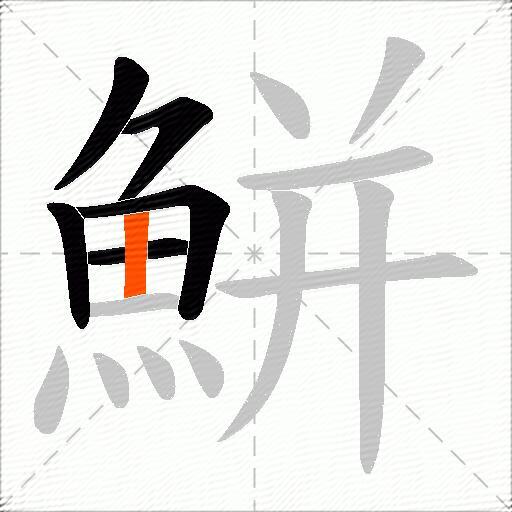 鮩