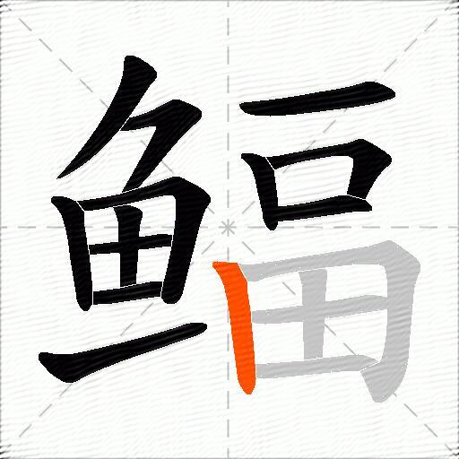 鲾