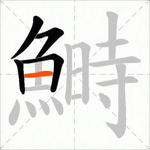鰣
