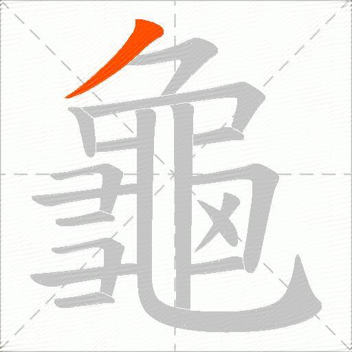 龜