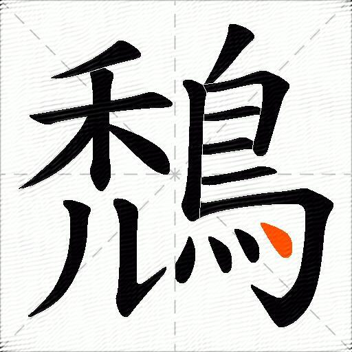 鵚