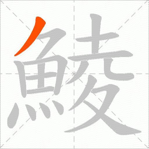 鯪