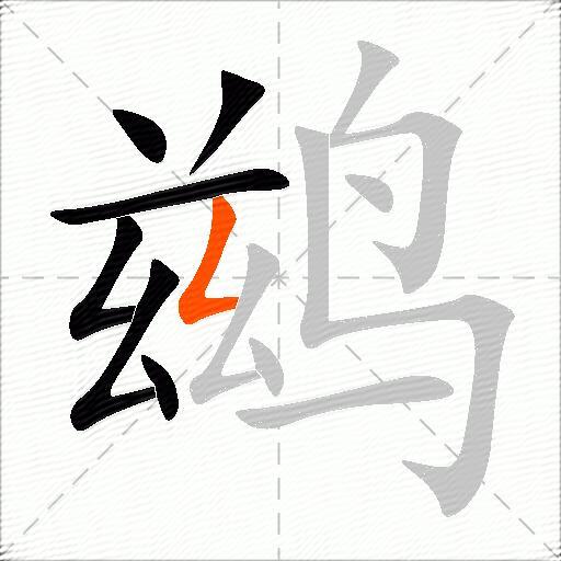 鹚